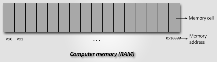 Read Memory