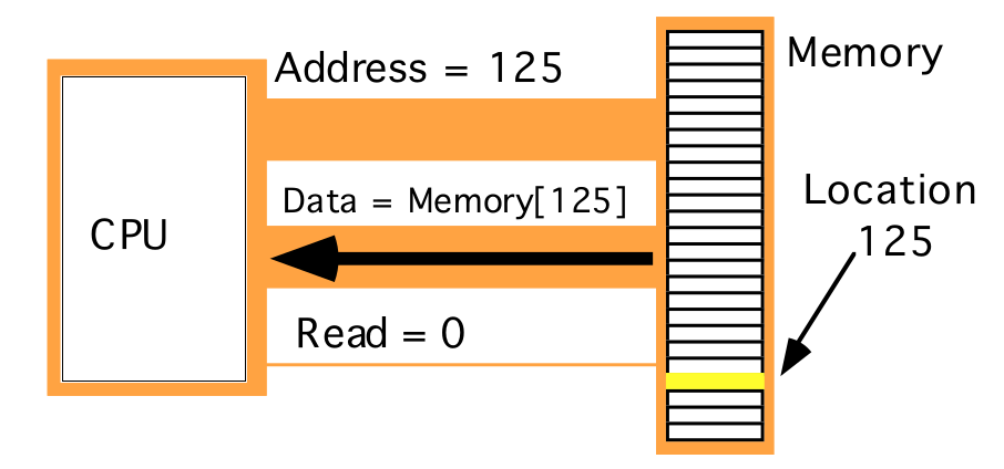 Read Memory