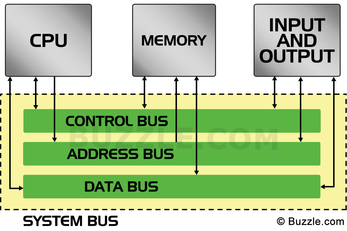 System Bus
