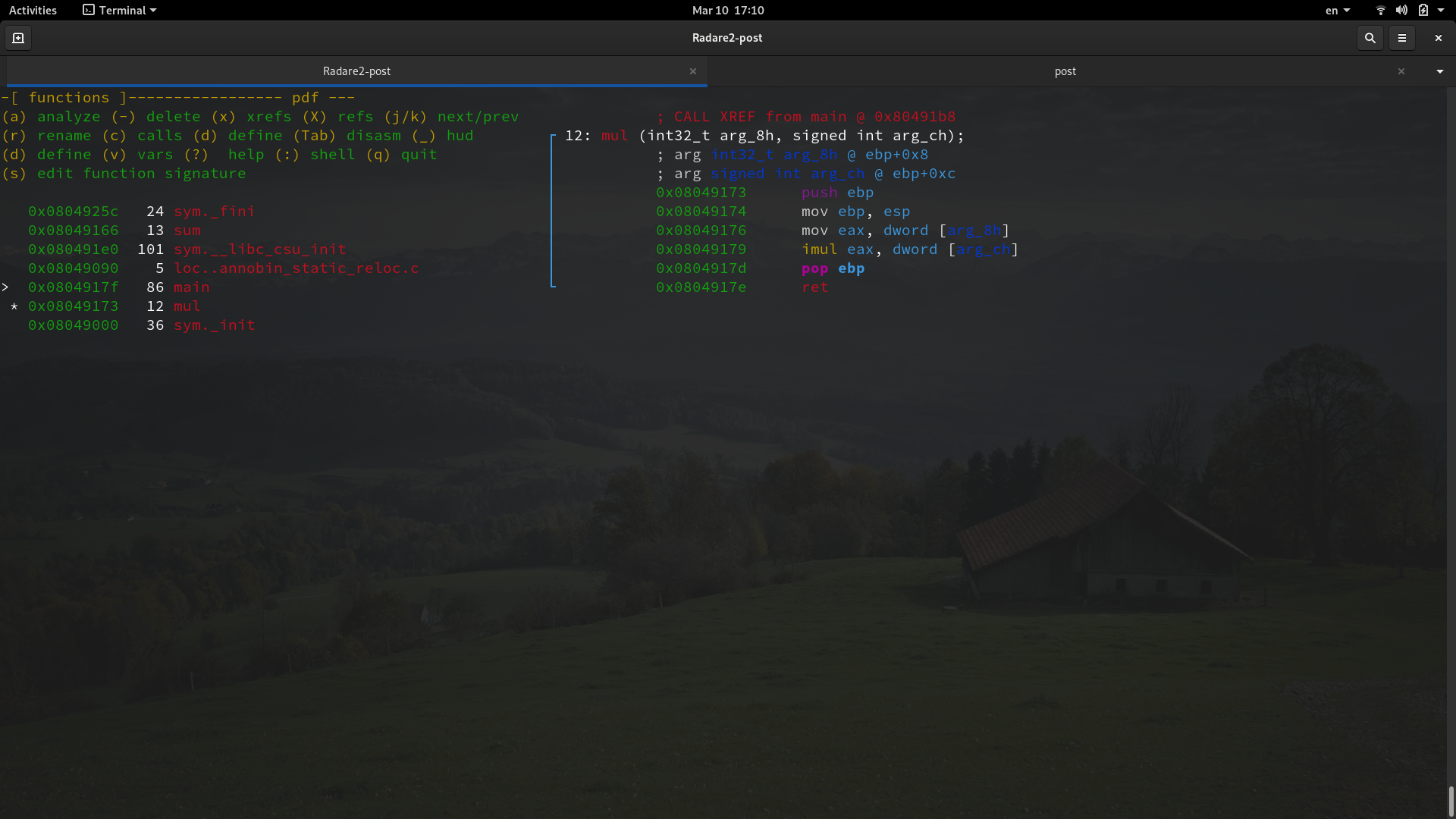 View management renaming3.