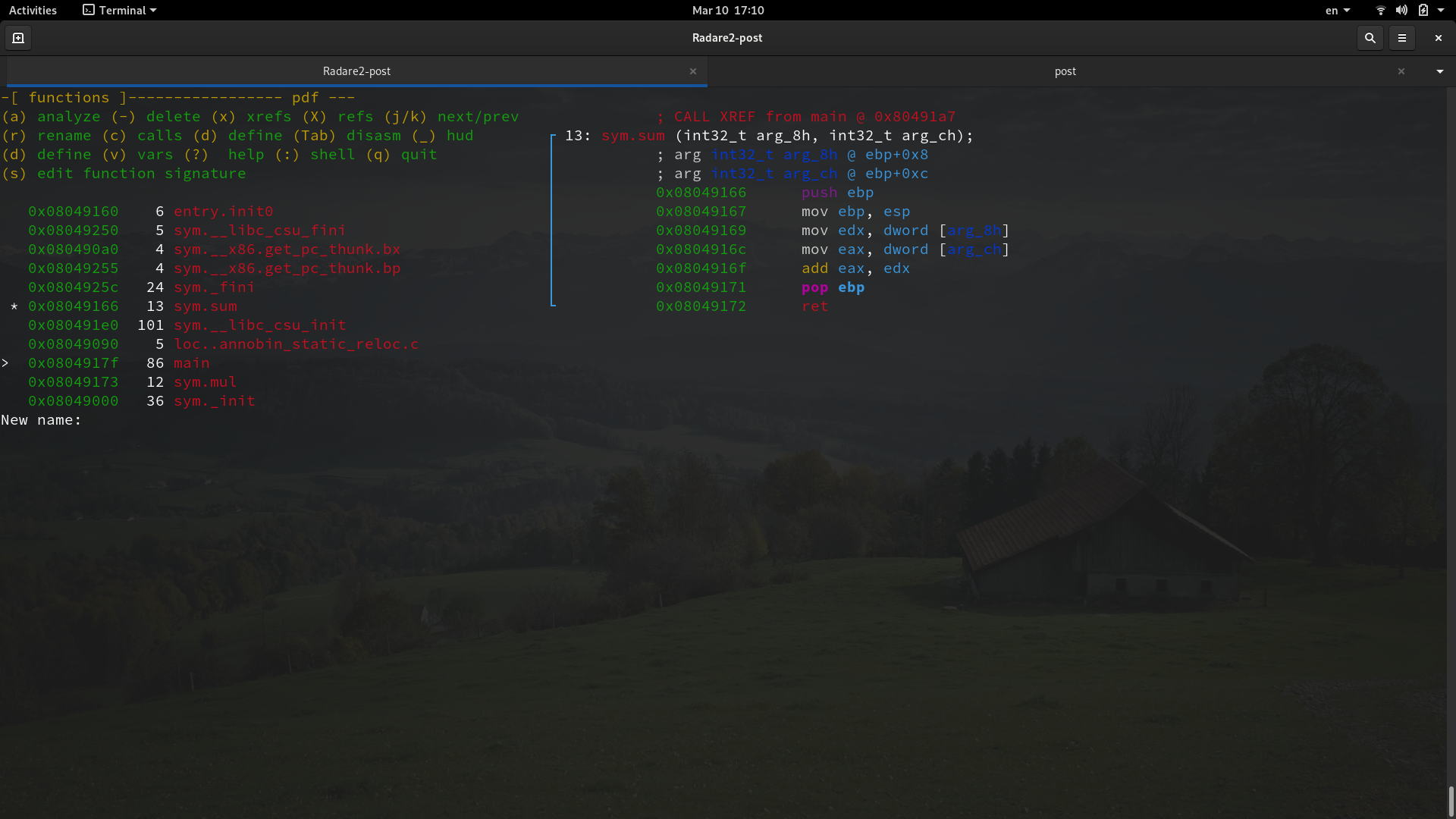 View management renaming.